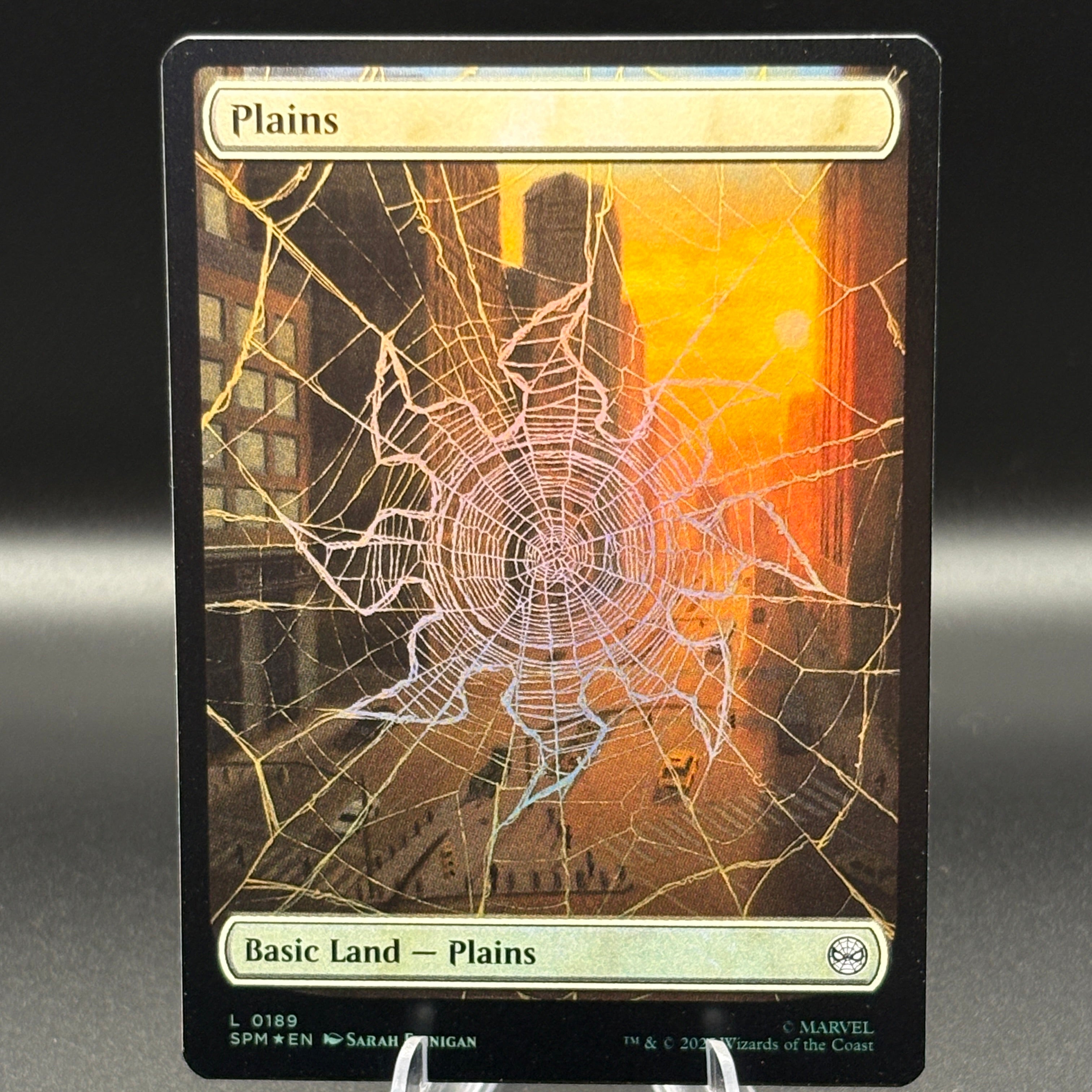 Magic: The Gathering Full Art Basic Lands – Foil